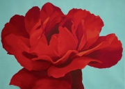 Rote Rose I